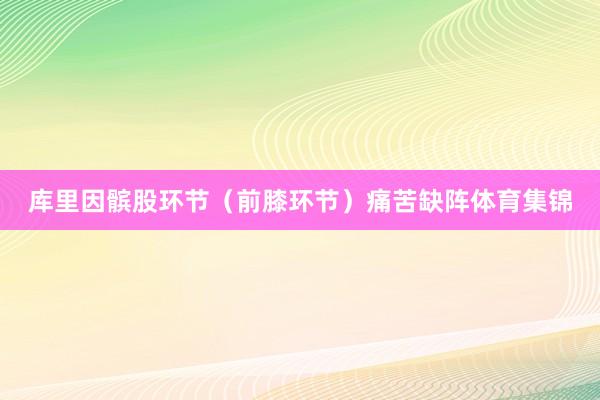 库里因髌股环节（前膝环节）痛苦缺阵体育集锦