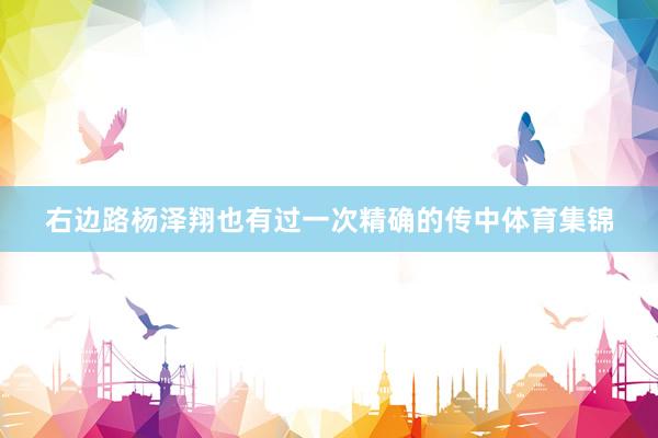 右边路杨泽翔也有过一次精确的传中体育集锦