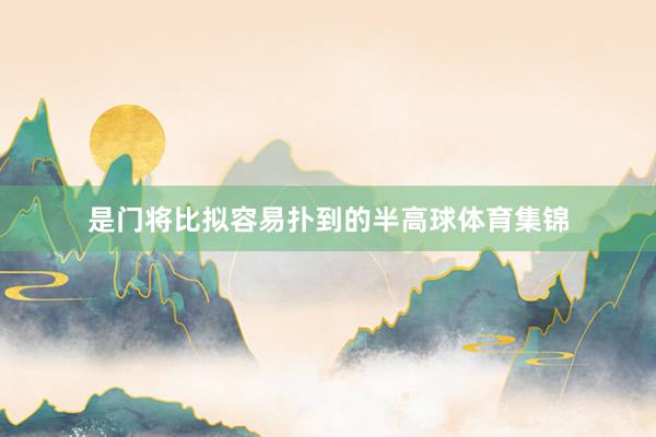 是门将比拟容易扑到的半高球体育集锦