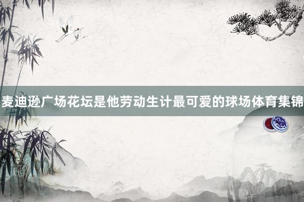 麦迪逊广场花坛是他劳动生计最可爱的球场体育集锦