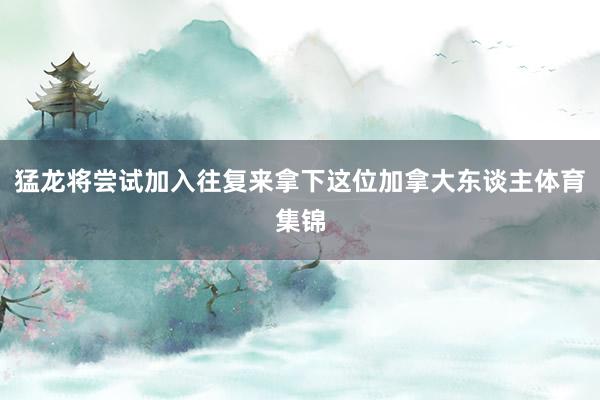 猛龙将尝试加入往复来拿下这位加拿大东谈主体育集锦