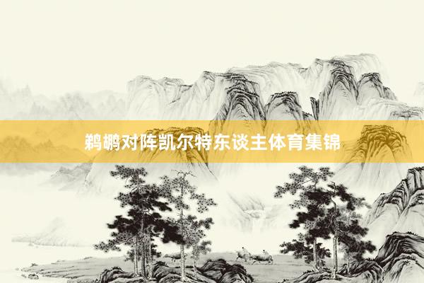 鹈鹕对阵凯尔特东谈主体育集锦