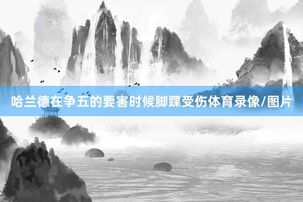 哈兰德在争五的要害时候脚踝受伤体育录像/图片