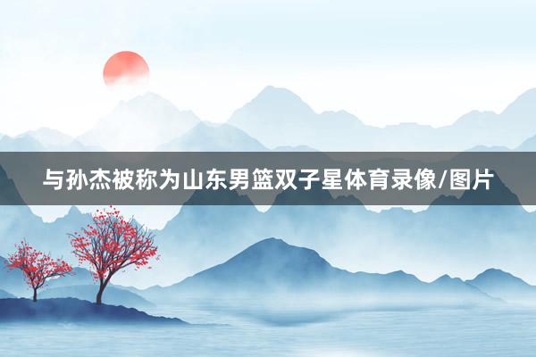 与孙杰被称为山东男篮双子星体育录像/图片