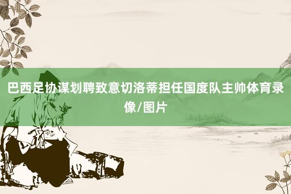 巴西足协谋划聘致意切洛蒂担任国度队主帅体育录像/图片