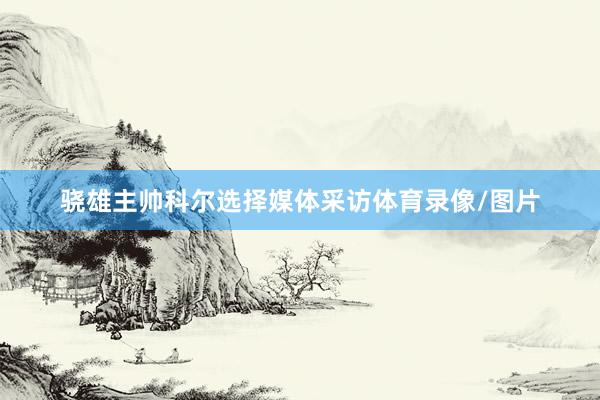 骁雄主帅科尔选择媒体采访体育录像/图片