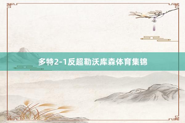 多特2-1反超勒沃库森体育集锦
