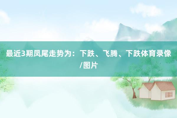 最近3期凤尾走势为：下跌、飞腾、下跌体育录像/图片