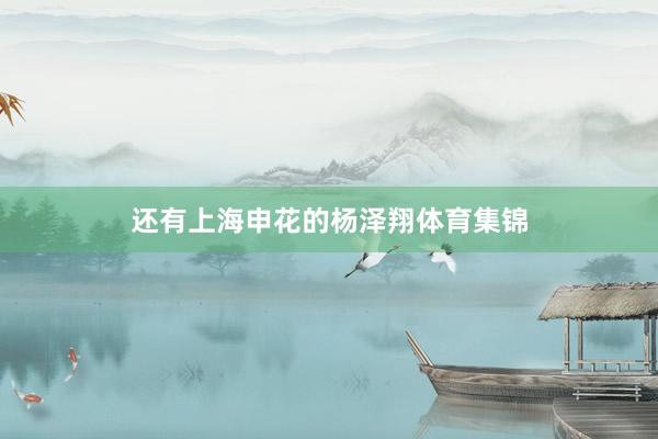 还有上海申花的杨泽翔体育集锦
