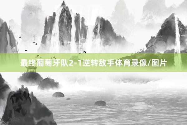 最终葡萄牙队2-1逆转敌手体育录像/图片