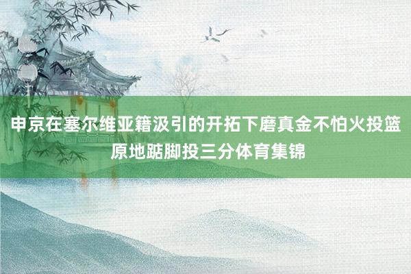 申京在塞尔维亚籍汲引的开拓下磨真金不怕火投篮 原地踮脚投三分