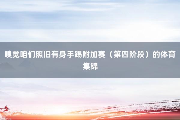 嗅觉咱们照旧有身手踢附加赛（第四阶段）的体育集锦