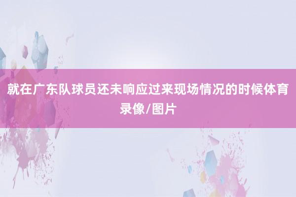 就在广东队球员还未响应过来现场情况的时候体育录像/图片