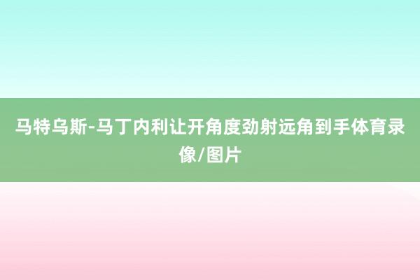 马特乌斯-马丁内利让开角度劲射远角到手体育录像/图片