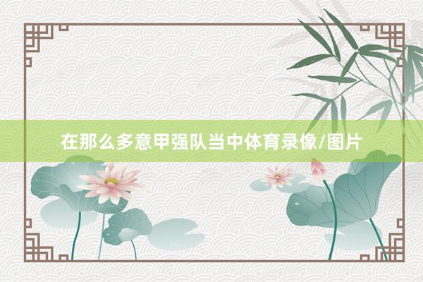 在那么多意甲强队当中体育录像/图片