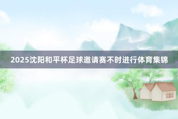 2025沈阳和平杯足球邀请赛不时进行体育集锦