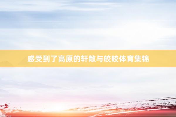 感受到了高原的轩敞与皎皎体育集锦