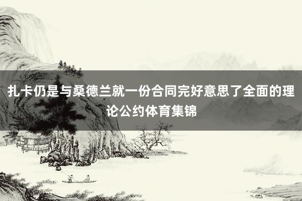 扎卡仍是与桑德兰就一份合同完好意思了全面的理论公约体育集锦