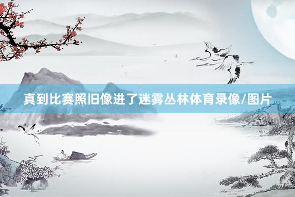 真到比赛照旧像进了迷雾丛林体育录像/图片