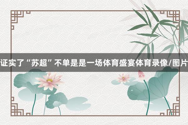 证实了“苏超”不单是是一场体育盛宴体育录像/图片