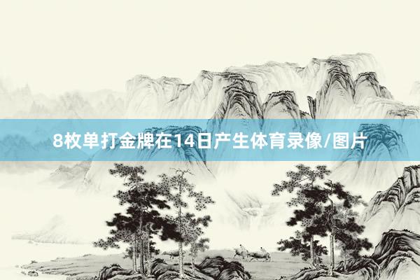 8枚单打金牌在14日产生体育录像/图片