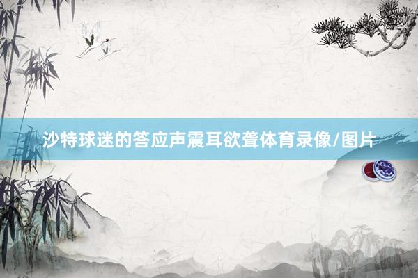 沙特球迷的答应声震耳欲聋体育录像/图片