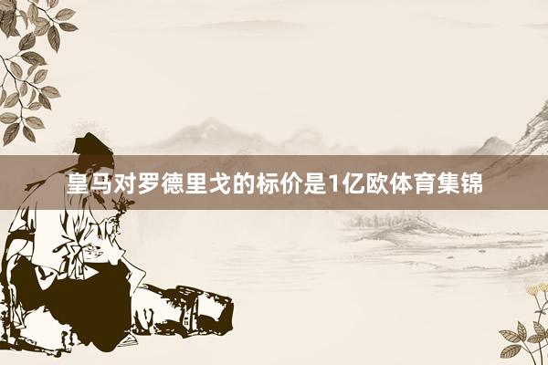 皇马对罗德里戈的标价是1亿欧体育集锦