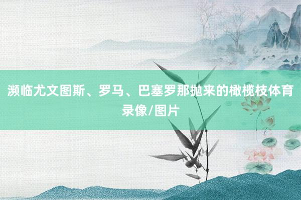 濒临尤文图斯、罗马、巴塞罗那抛来的橄榄枝体育录像/图片