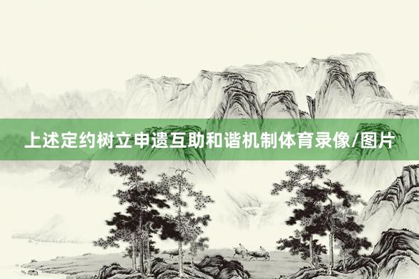 上述定约树立申遗互助和谐机制体育录像/图片