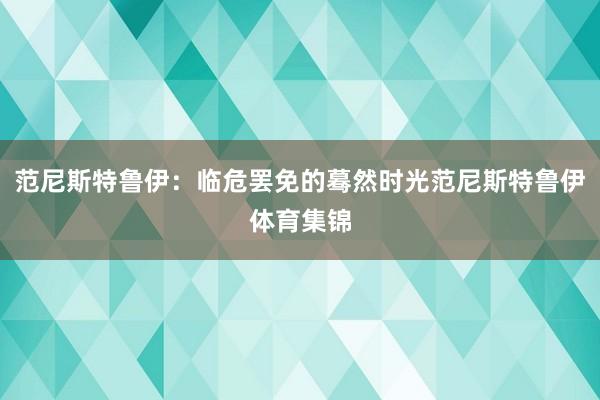 范尼斯特鲁伊：临危罢免的蓦然时光范尼斯特鲁伊体育集锦