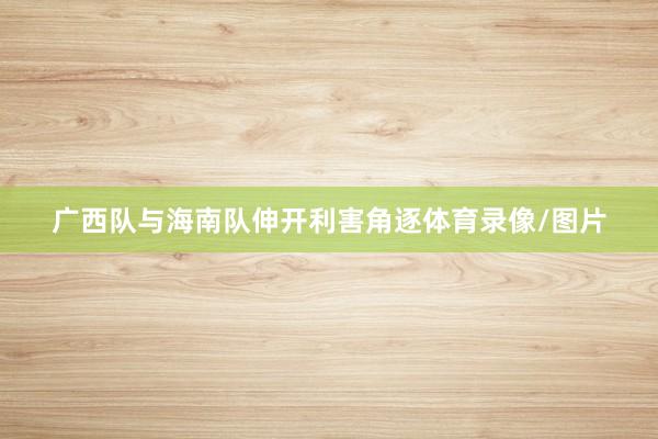广西队与海南队伸开利害角逐体育录像/图片