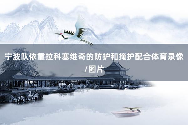 宁波队依靠拉科塞维奇的防护和掩护配合体育录像/图片