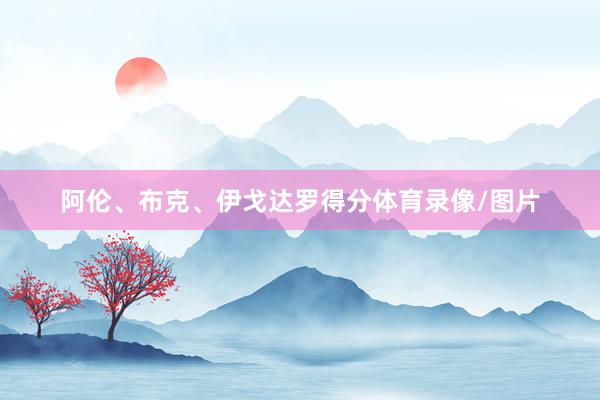 阿伦、布克、伊戈达罗得分体育录像/图片