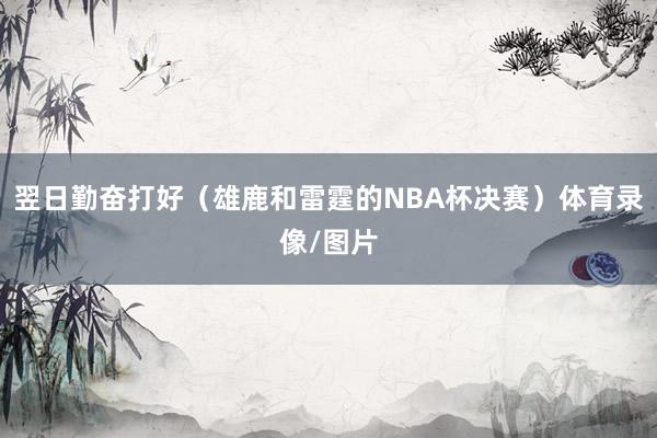 翌日勤奋打好（雄鹿和雷霆的NBA杯决赛）体育录像/图片