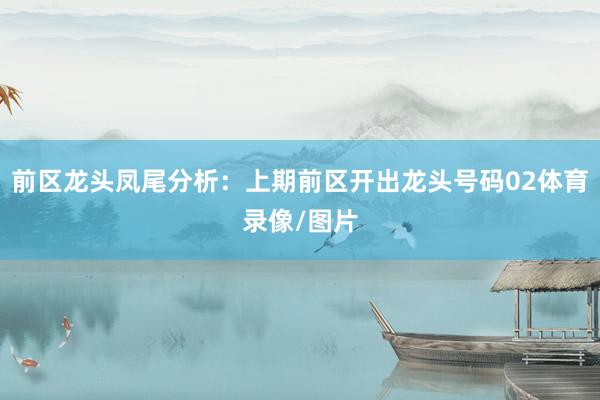 前区龙头凤尾分析：上期前区开出龙头号码02体育录像/图片