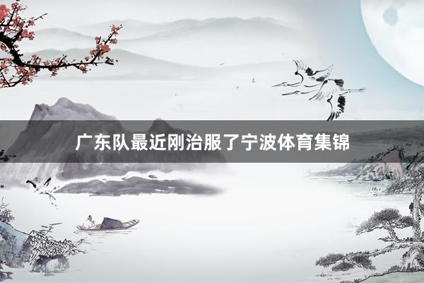 广东队最近刚治服了宁波体育集锦