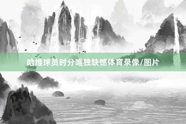 哈维球员时分唯独缺憾体育录像/图片