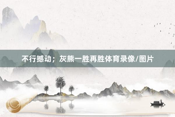 不行撼动；灰熊一胜再胜体育录像/图片