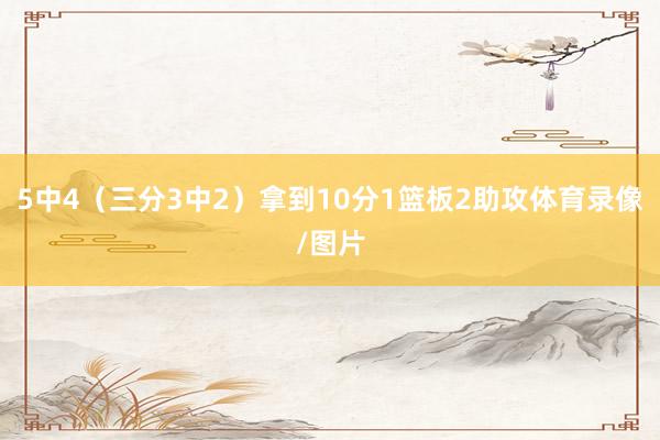5中4（三分3中2）拿到10分1篮板2助攻体育录像/图片