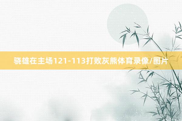 骁雄在主场121-113打败灰熊体育录像/图片