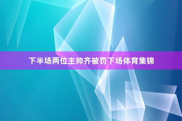 下半场两位主帅齐被罚下场体育集锦