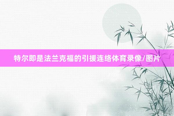 特尔即是法兰克福的引援连络体育录像/图片