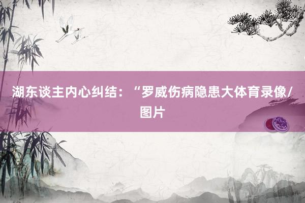 湖东谈主内心纠结：“罗威伤病隐患大体育录像/图片