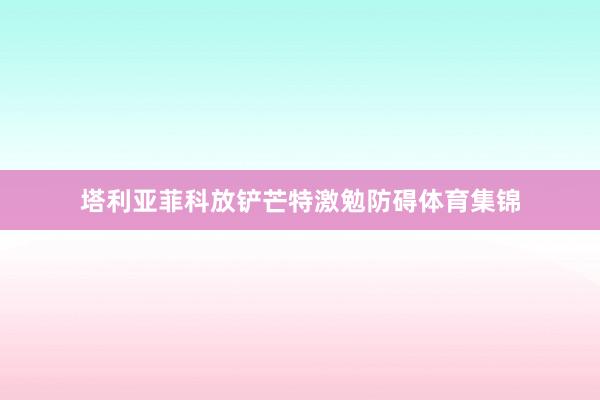 塔利亚菲科放铲芒特激勉防碍体育集锦