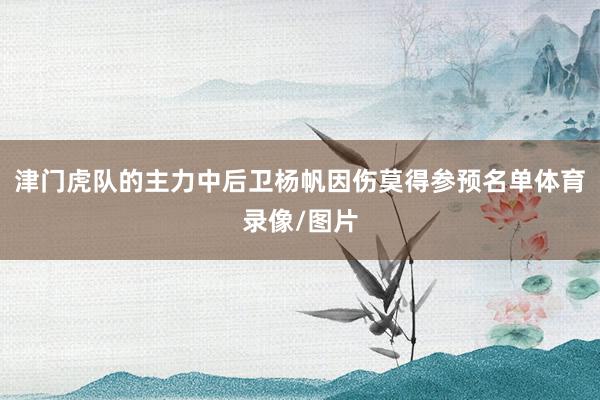 津门虎队的主力中后卫杨帆因伤莫得参预名单体育录像/图片