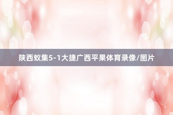 陕西蚁集5-1大捷广西平果体育录像/图片