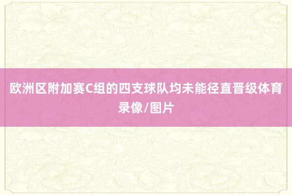 欧洲区附加赛C组的四支球队均未能径直晋级体育录像/图片