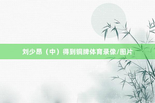 刘少昂（中）得到铜牌体育录像/图片