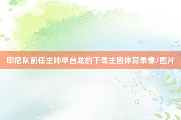 印尼队前任主帅申台龙的下课主因体育录像/图片