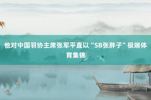 他对中国羽协主席张军平直以“SB张胖子”极端体育集锦